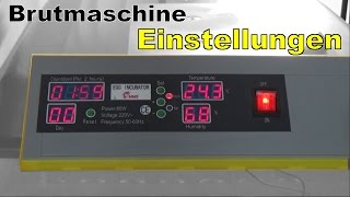 WICHTIGE Einstellungen der Brutmaschine  Temperatur  Alarm  Programmierung  Inkubator [upl. by Lamek]