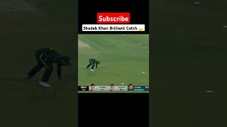 Shadab Khan Brilliant Fielding  Best Catch 🔥 [upl. by Puto]