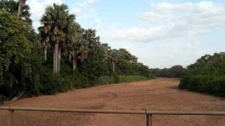 southern sudan landscape and wildlife [upl. by Terryl]