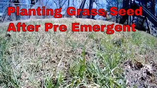 How To Plant Grass Seed After A Pre Emergent [upl. by Nirol]