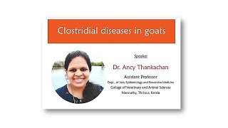 Clostridial diseases in goats Sheepfarming Goatfarming Sathyazerograzing [upl. by Nedac369]