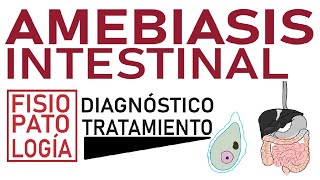 Amebiasis intestinal  Fisiopatología diagnóstico y tratamiento [upl. by Nerret]