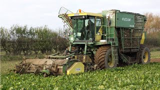 1994 Riecam RBM 300 sixrow tanker sugar beet harvester  Classic farm machinery [upl. by Longtin]