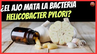 ¿EL AJO MATA LA BACTERIA HELICOBACTER PYLORI [upl. by Eleahcim]