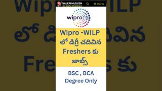 Wipro  WILP Recruitment Update  BSC  BCA Degree Jobs jobs2024 shortsviral itjobs2024 [upl. by Krantz]