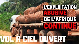 Lexploitation de lAfrique continue Cas de lhuile de Palme [upl. by Celina271]