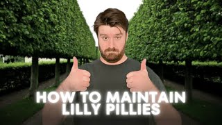 Avoid Bare Patches Secrets to Maintaining Lilly Pillies [upl. by Christyna]