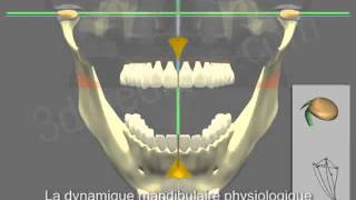 Presentation du CMTH concept mandibulaire tridimensionnel du Dr Harb par animation 3D [upl. by Eille]