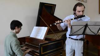 Quantz Flute Sonata in D major  1 mvt [upl. by Yrellam]