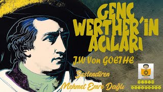 Genç Wertherin Acıları  J W Goethe Sesli Kitap Tek Parça Mehmet Emre Dağlı [upl. by Rehteh]