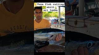 Tuna Fish Cutting Skills in Sri Lanka tuna fishcutting shorts [upl. by Stryker]