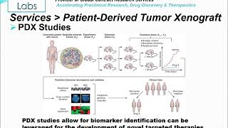 Altogen Labs PDX Xenograft Services [upl. by Atenaz586]