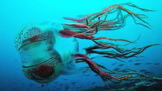 Extremely Rare spotted box jellyfish  Amazing Facts [upl. by Calli]