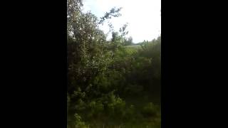 Video of Naivasha plots for sale in Kenya [upl. by Sylram68]