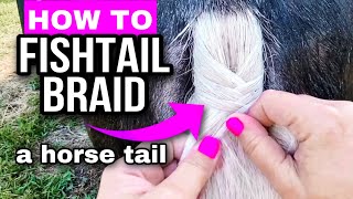 Horse Braiding Tutorial  Fishtail Fishbone Braid [upl. by Ardnek327]