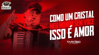 TARCÍSIO DO ACORDEON  Como Um Cristal  Meu Mundo Sem Você  Isso É Amor [upl. by Airak]