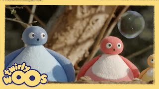 Pop  Twirlywoos  Türk Çocuk Çizgi Filmleri  WildBrain Türkçe [upl. by Maltz319]