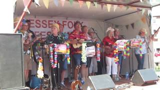 quotIko Ikoquot by the Weymouth Ukuleleans at the Wessex Folk Festival 2017 [upl. by Kcirdde]