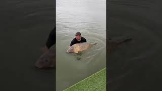 Novi svjetski rekord 47 kg carpfishing fisbi fishing ribolov [upl. by Ennaxor]