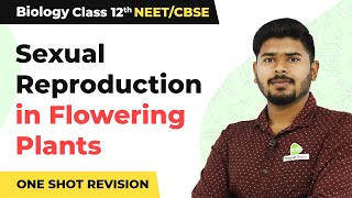 Sexual Reproduction in Flowering Plants  One Shot Revision  Class 12 Biology Ch 2 NCERTNEET [upl. by Ahcorb]