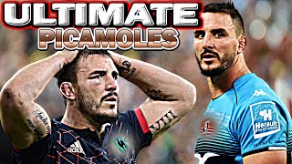 Ultimate PICAMOLES Tribute  GARGANTUAN ᴴᴰ [upl. by Rajewski]