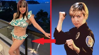 Cynthia Rothrock  what happened to the strongest actress [upl. by Lonee]