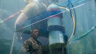 Navy Diver of the Year discusses honor [upl. by Ailenroc]