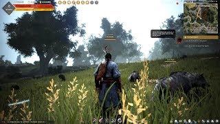 Black Desert Gameplay PC HD 1080p60FPS [upl. by Toback]