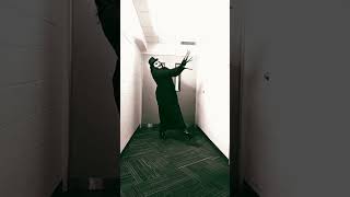 Babadook is HIVE renaissancetour dance babadook halloween [upl. by Blackman877]