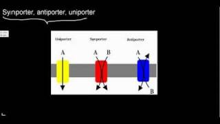 lecture 20 part 1 Ion channel properties inactivation mechanism [upl. by Ardyce31]