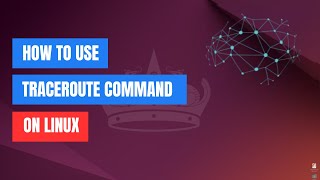 How to Use the traceroute Command on Linux [upl. by Ennovad663]