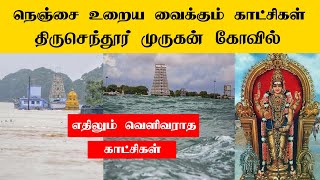 Tiruchendur Murugan Temple  Unseen Rare Video [upl. by Hunter390]