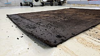 Restoring a carpet used as an entrance matt on construction site ASMR carpet cleaning [upl. by Eilema231]