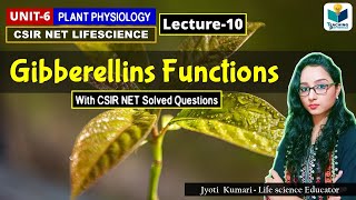 GIBBERELLIN FUNCTIONS PHYTOHORMONES PART10 CSIR NETPLANT BIOLOGY [upl. by Ailatan]