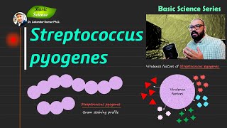 Streptococcus pyogenes  Bacitracin disk test  Microbiology  Bacteriology  Basic Science Series [upl. by Baniaz556]