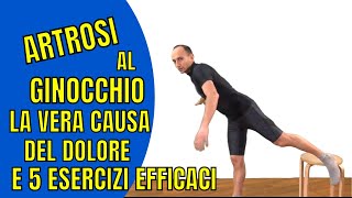 Artrosi al Ginocchio la Causa del Dolore e 5 Esercizi di Fisioterapia [upl. by Kenta]