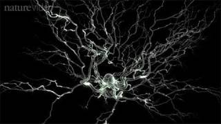 Method of the Year 2010 Optogenetics  by Nature Video [upl. by Bergeron273]