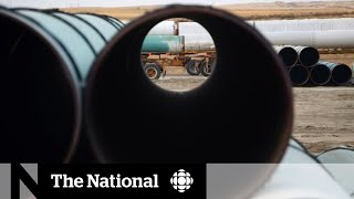 Alberta braces for impact of Keystone XL cancellation [upl. by Irroc194]