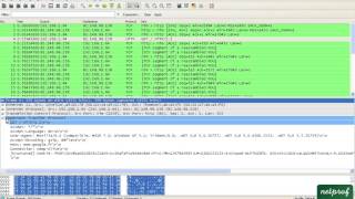 4 TP TCPIP wireshark [upl. by Nnaik352]