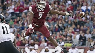 Ultimate Haason Reddick Highlights  HD [upl. by Ahsiken237]