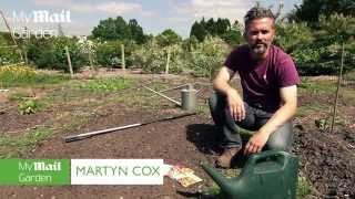 Sowing Hardy Annuals  wwwmymailgardencouk [upl. by Grange]