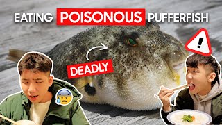 EATING POISONOUS PUFFERFISH IN JAPAN OMG HELP [upl. by Dazhahs]