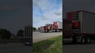 Eldon Ringler looking large last summer largecar peterbilt 717 reefergang shorts [upl. by Oiligriv]