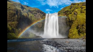 Skogafoss Waterfall Iceland  Skogafoss Wasserfall Island  wwwwildeweiteweltde [upl. by Yrkcaz163]