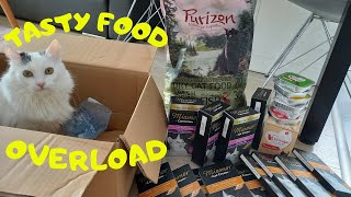 ★CAT FOOD HAUL★ Healthy quality CAT FOOD we recommend  Purizon Feringa Miamor [upl. by Grimes]