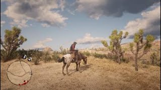 Uncommon Leopard Skin Appaloosa Location RDR2 [upl. by Lewap]