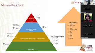 San Vicente Tello A 2023 The Nagoya Protocol in Mexico [upl. by Atteirneh683]