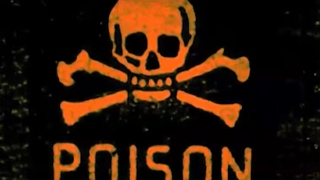 Rancid  Poison MUSIC VIDEO [upl. by Greggs]