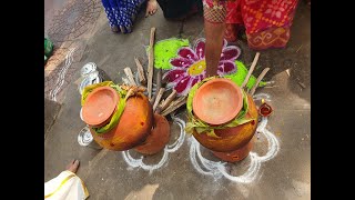 புதுவைத் தமிழ்ச்சங்கம்  Pongalo Pongal💞💕  Puthuvai Tamil Sangam  Puducherry [upl. by Preiser421]