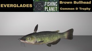 Fishing Planet Everglades Brown Bullhead Common amp Trophy [upl. by Neeoma]